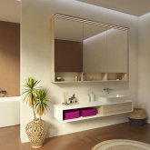 Bad Spiegelschrank mit Leuchte und Regal Freia II