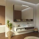 Spiegelschrank mit Regal und Leuchte Pandora II